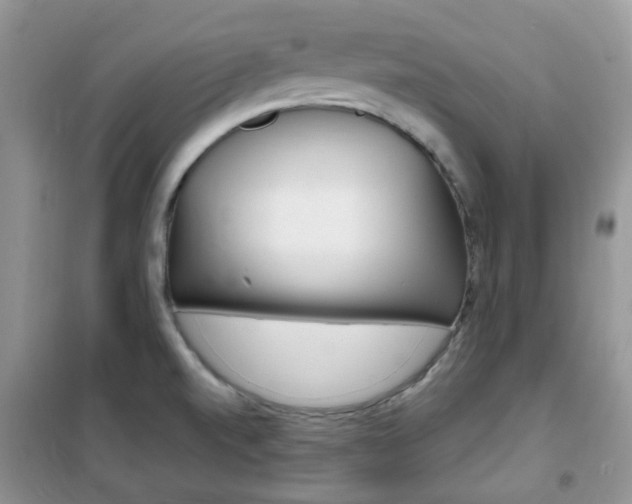 X0000102341520200808010900