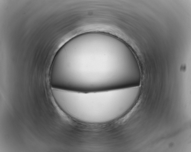 X0000102341521200808010900