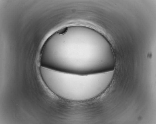 X0000102341522200808010900