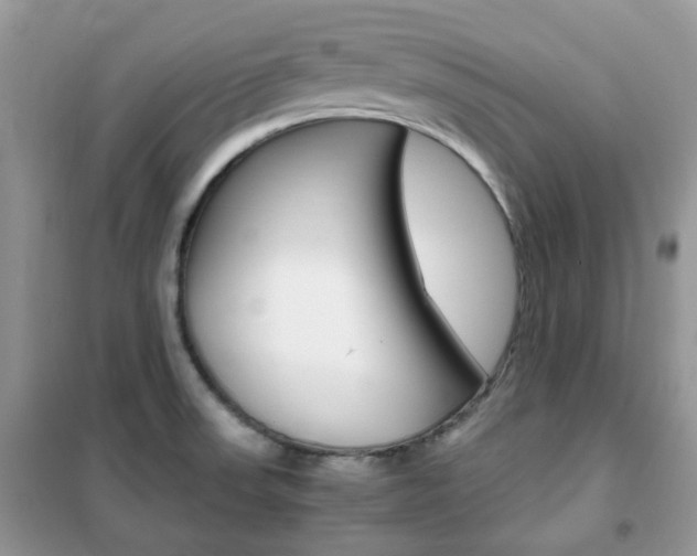 X0000102341523200808010900