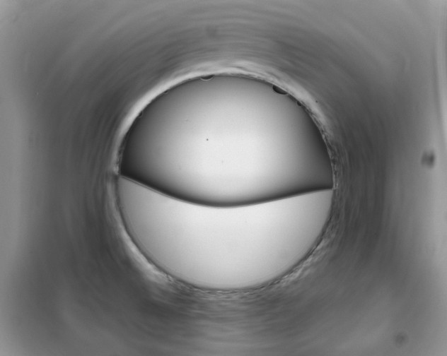 X0000102341524200808010900