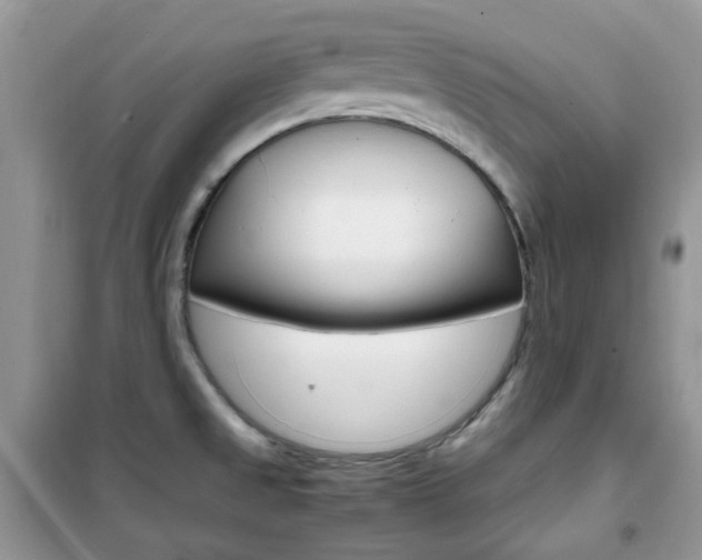 X0000102341525200808010900