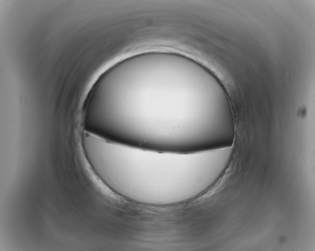 X0000102341526200808010900