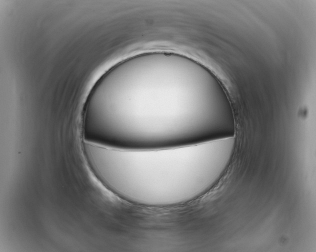 X0000102341527200808010900
