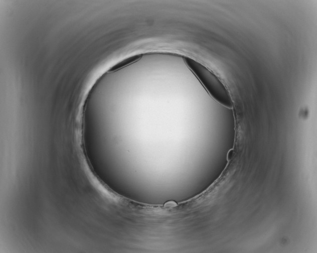 X0000102341528200808010901