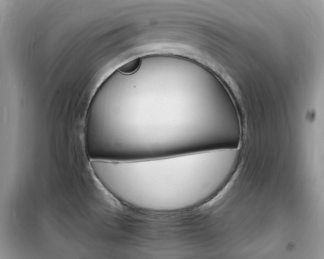 X0000102341529200808010901