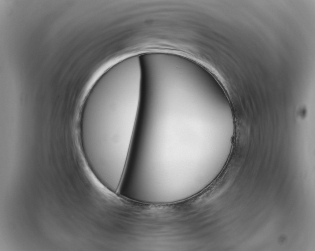X0000102341531200808010901