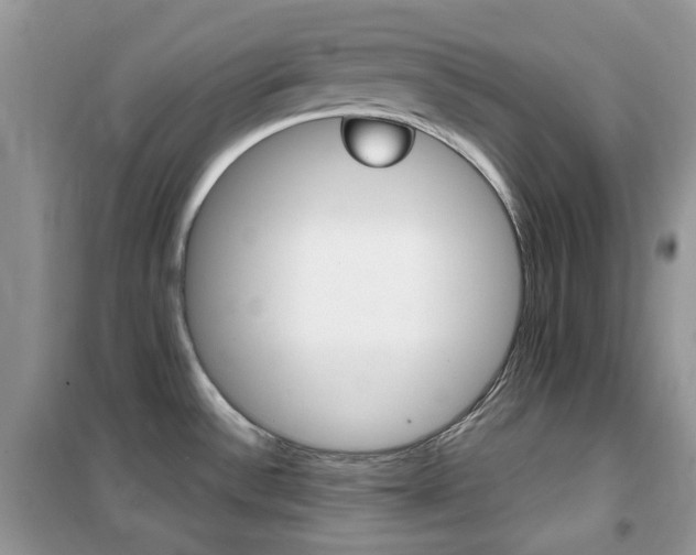 X0000102341532200808010901