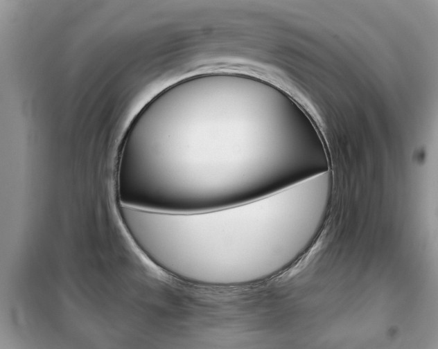 X0000102341533200808010901
