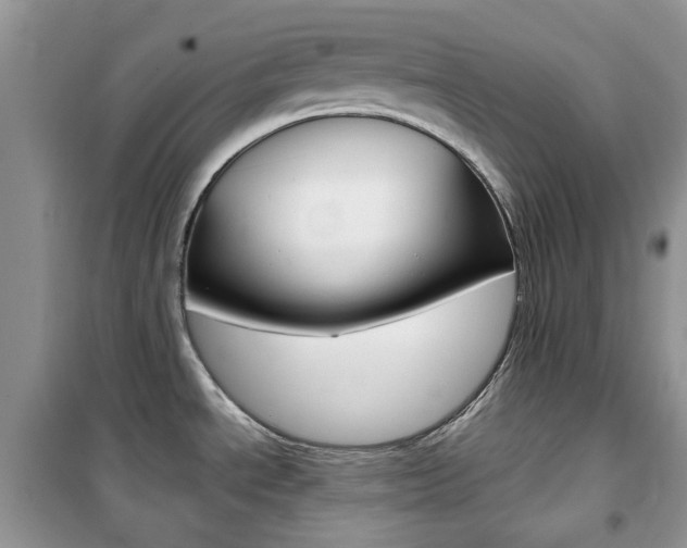 X0000102341534200808010901