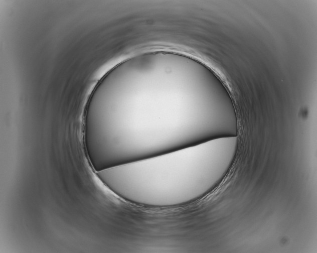 X0000102341535200808010901
