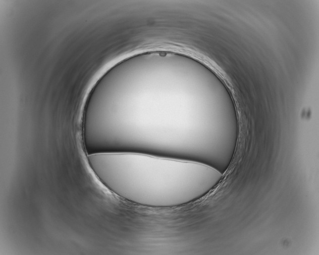X0000102341536200808010901