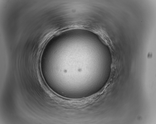 X0000102340001200808011151