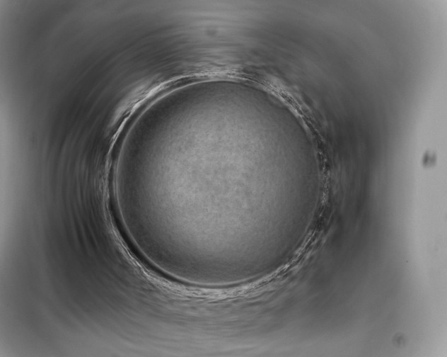 X0000102340002200808011151