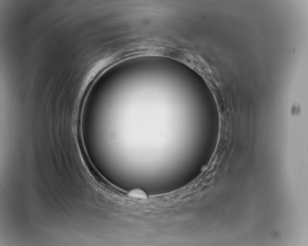 X0000102340003200808011151