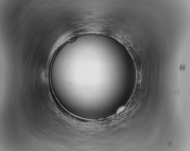 X0000102340004200808011151