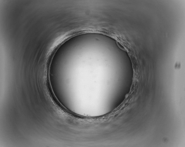 X0000102340005200808011151