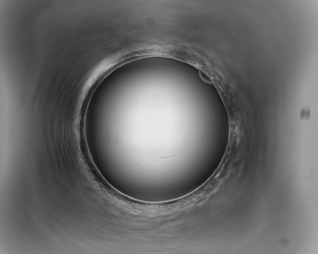 X0000102340006200808011151