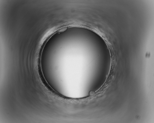 X0000102340007200808011151