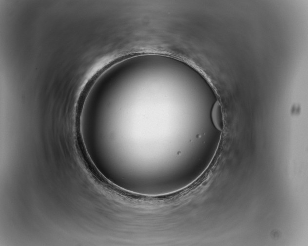 X0000102340008200808011151