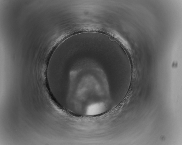 X0000102340009200808011151