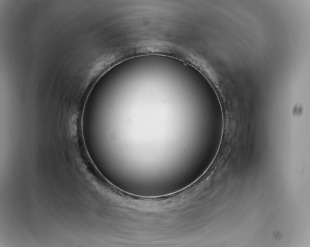 X0000102340010200808011151