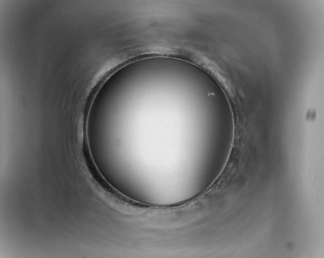 X0000102340011200808011151