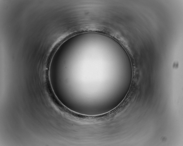 X0000102340012200808011151