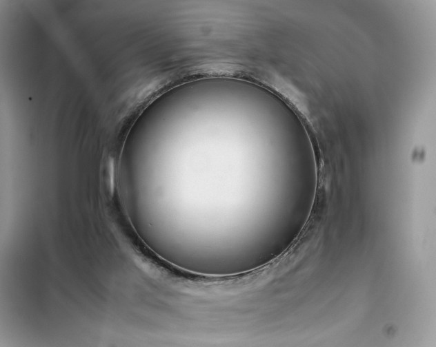 X0000102340013200808011151