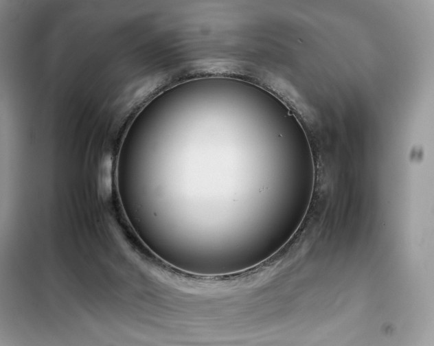 X0000102340014200808011151