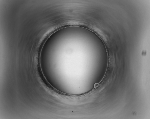 X0000102340015200808011151