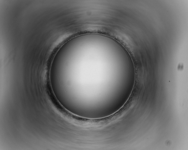 X0000102340016200808011151