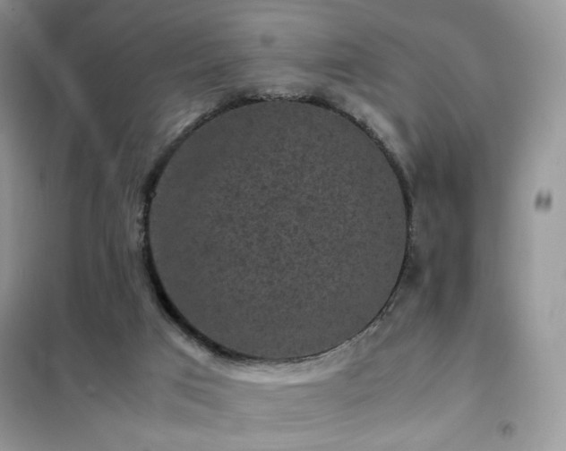 X0000102340017200808011151