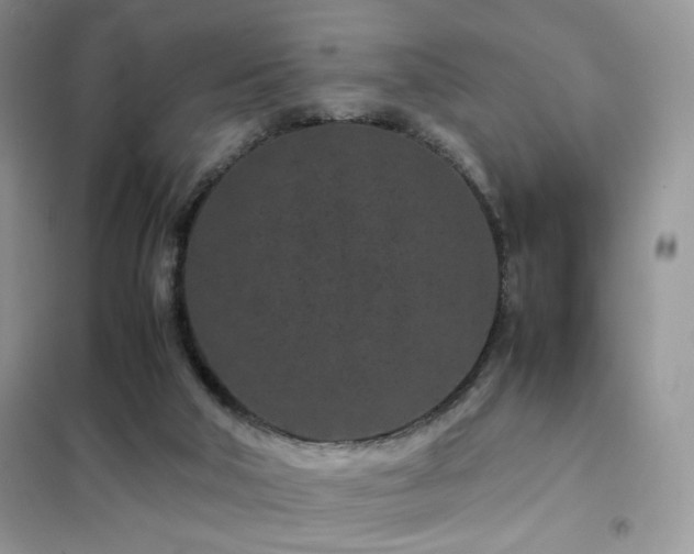 X0000102340018200808011151