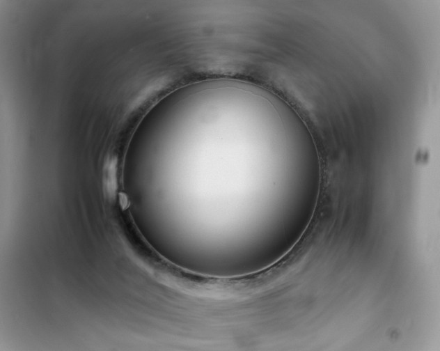 X0000102340020200808011151