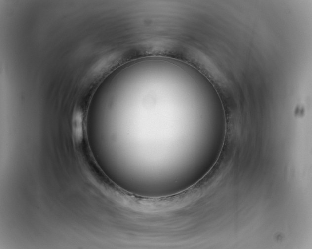 X0000102340022200808011151