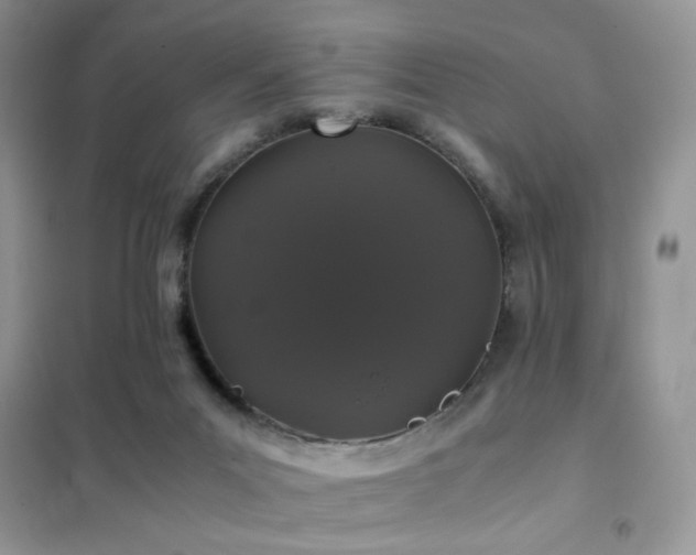 X0000102340023200808011151