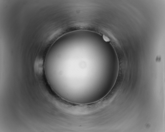 X0000102340024200808011151