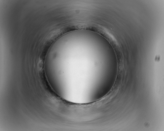 X0000102340025200808011151