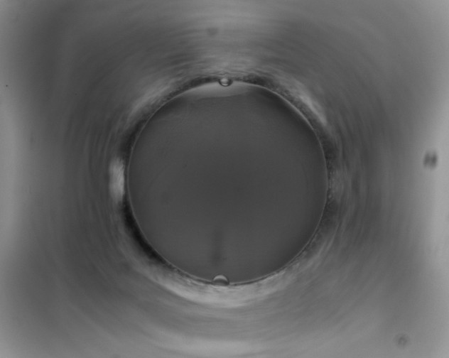 X0000102340027200808011151