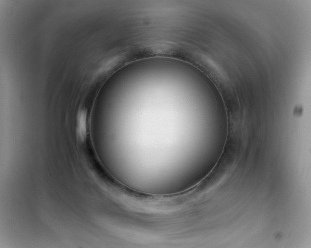 X0000102340028200808011151