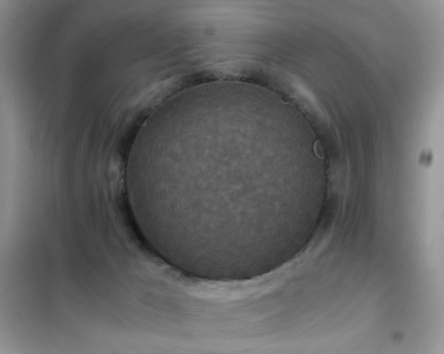 X0000102340029200808011151