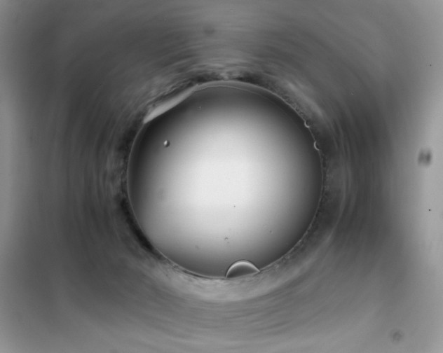 X0000102340030200808011151