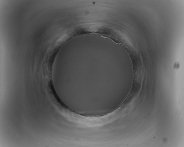 X0000102340031200808011151