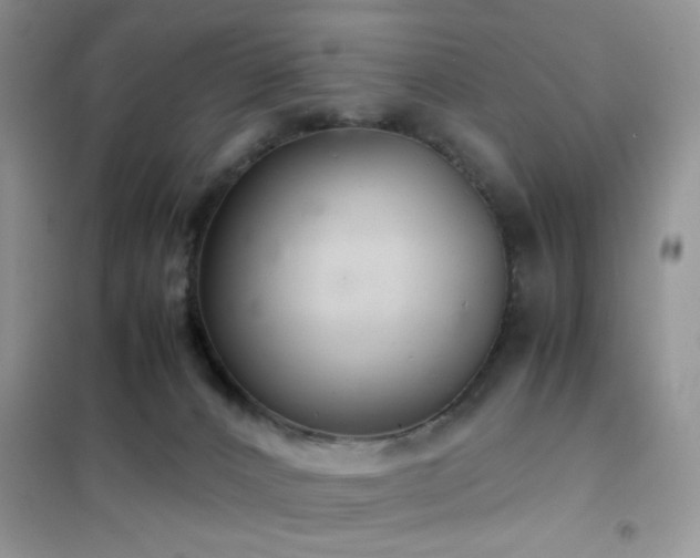 X0000102340032200808011151