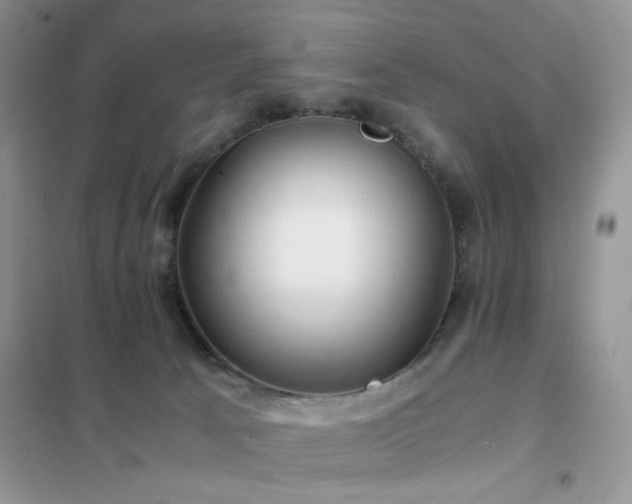 X0000102340033200808011151