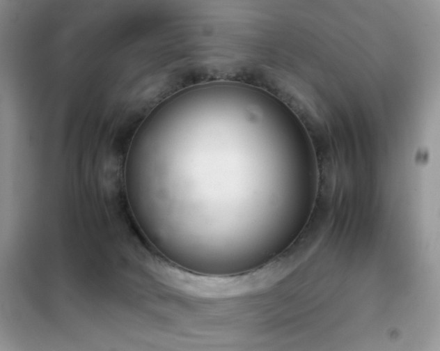 X0000102340034200808011151