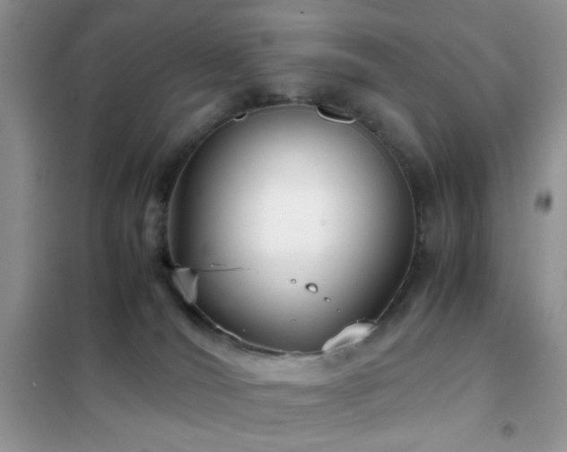 X0000102340036200808011151