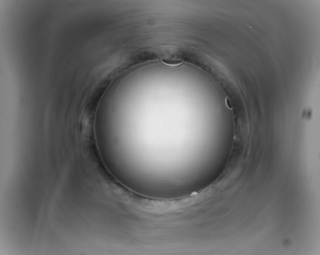 X0000102340037200808011151