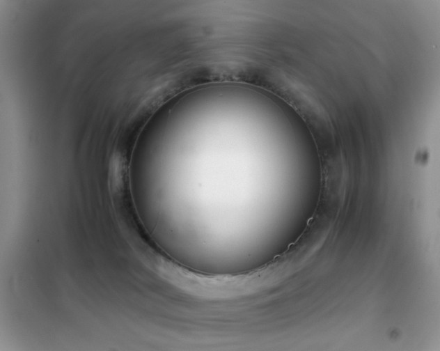 X0000102340038200808011151